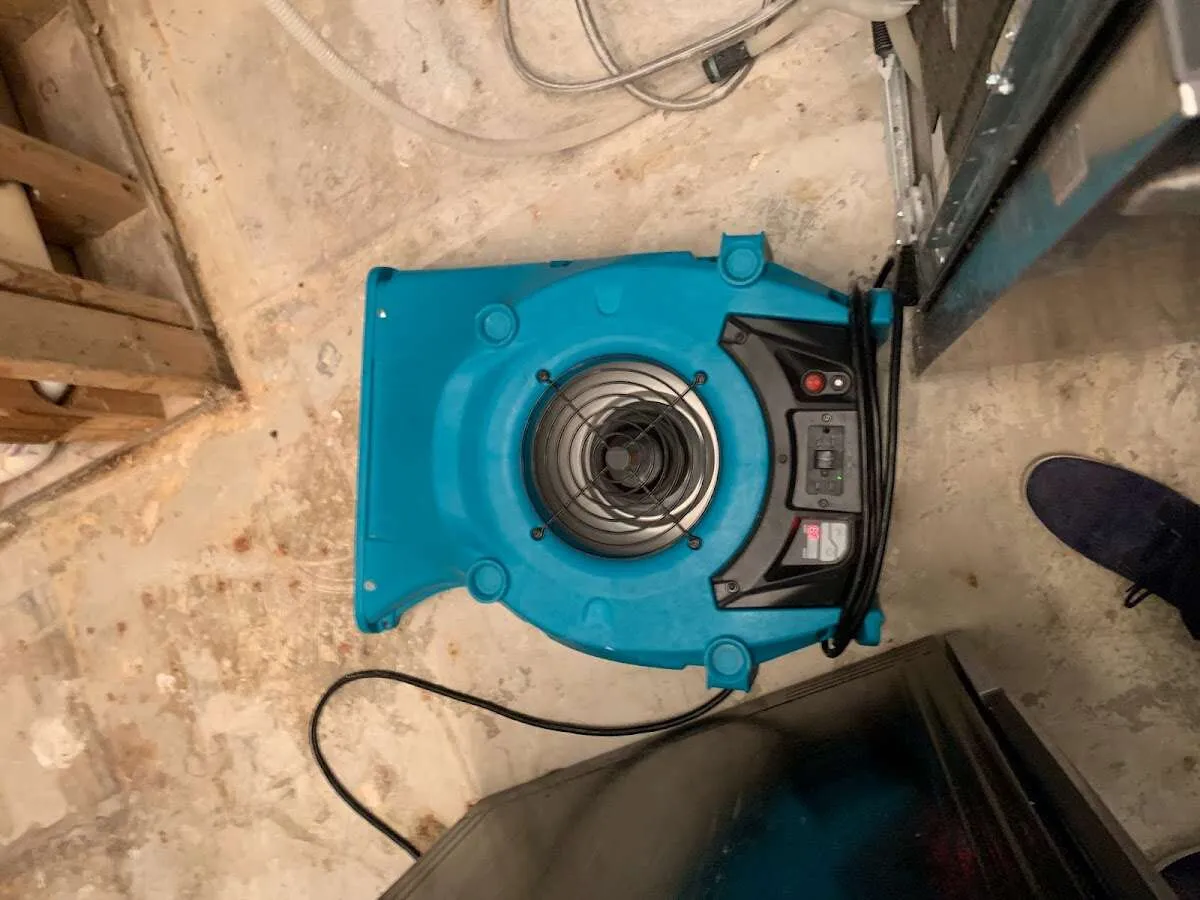 Air mover drying equipment for Mold Remediation & Removal in Jefferson